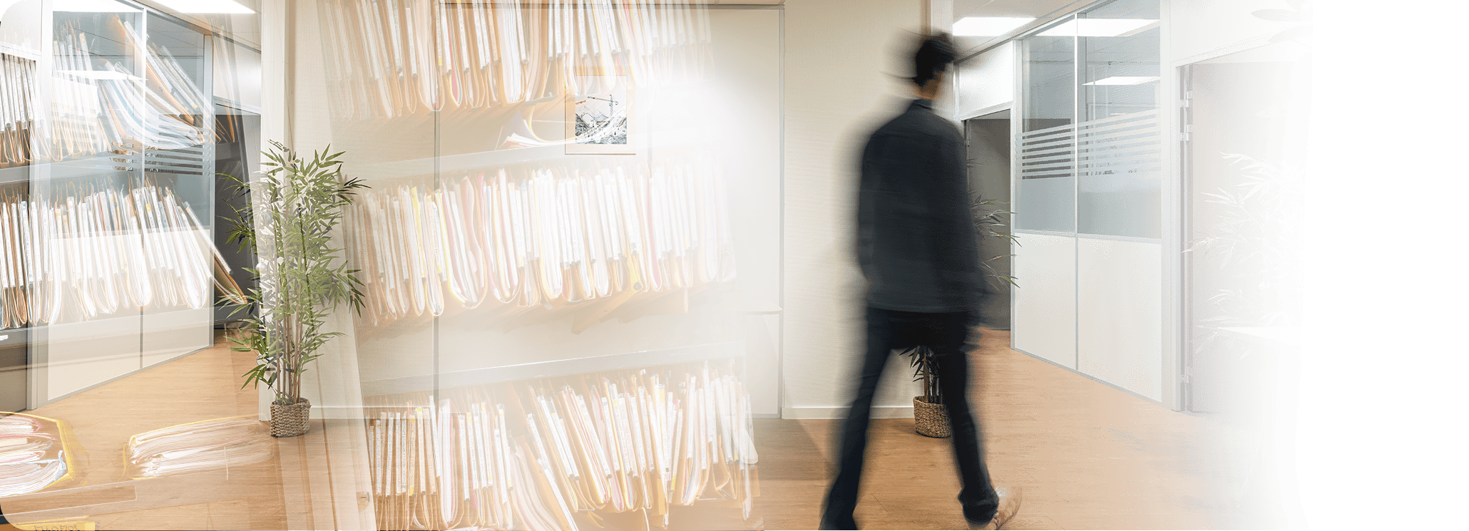 Responsabilités et droit public général